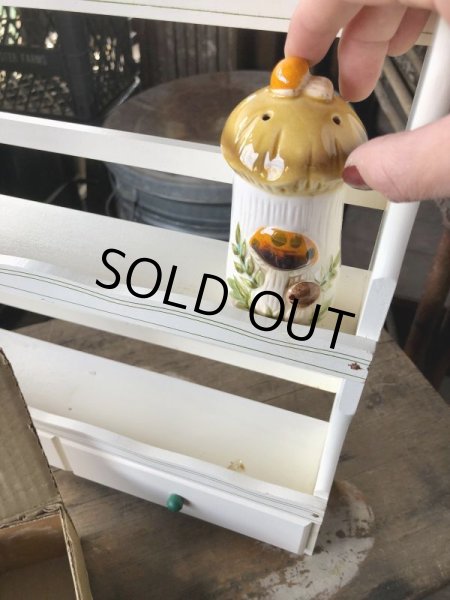 画像16: 70s Vintage Sears Merry Mushrooms kitchen Coordinates Spice Rack N.O.S (M388) (16)