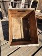 画像15: Vintage Advertising Wooden Crates Wood Box / H.P. HOOD (M449) (15)