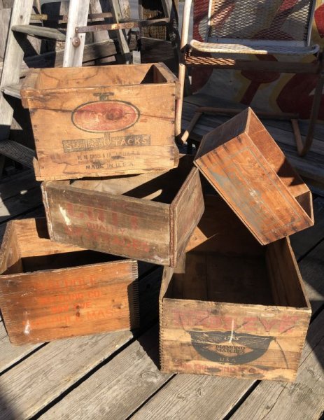 画像15: Vintage Advertising Wooden Crates Wood Box / COTT BEVERAGES (M453) (15)