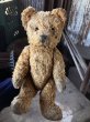 画像15: Vintage Teddy Bear 32cm (M488) (15)