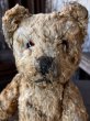 画像9: Vintage Teddy Bear 32cm (M488) (9)