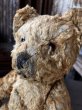 画像10: Vintage Teddy Bear 32cm (M488) (10)