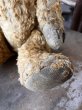 画像12: Vintage Teddy Bear 32cm (M488) (12)