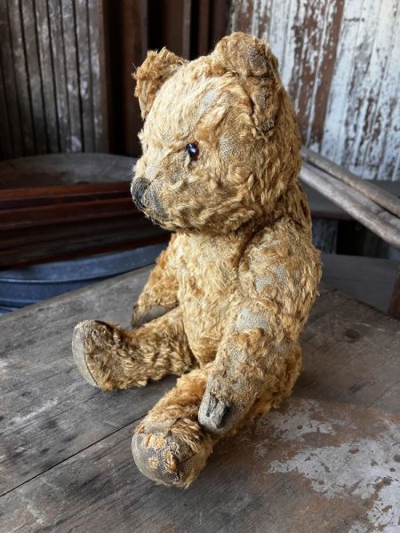 画像2: Vintage Teddy Bear 32cm (M488) (2)