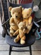 画像17: Vintage UK Chiltern Hugmee Teddy Bear 50cm (M486) (17)