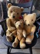 画像17: Vintage Teddy Bear 32cm (M488) (17)