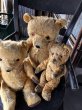 画像19: Vintage Teddy Bear 32cm (M488) (19)