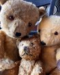 画像18: Vintage Teddy Bear 32cm (M488) (18)