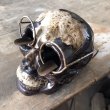 画像7: 50s MADE IN JAPAN Skull w/Glasses Ceramic Ashtray (M621) (7)