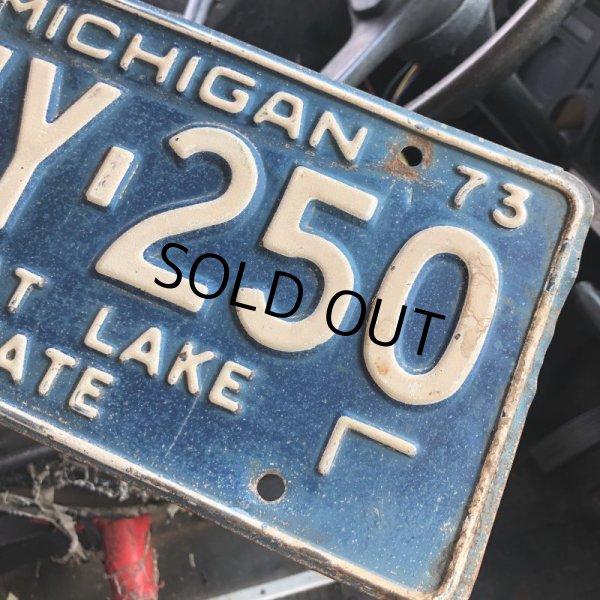 画像2: 70s Vintage American License Number Plate / MICHIGAN 250 (M716) (2)
