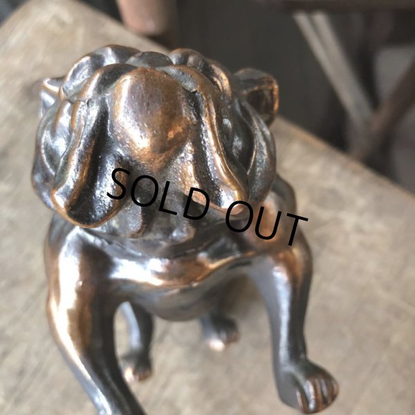 画像14: Vintage Brass Bulldog (B868)  (14)