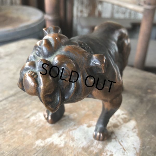 画像12: Vintage Brass Bulldog (B868)  (12)