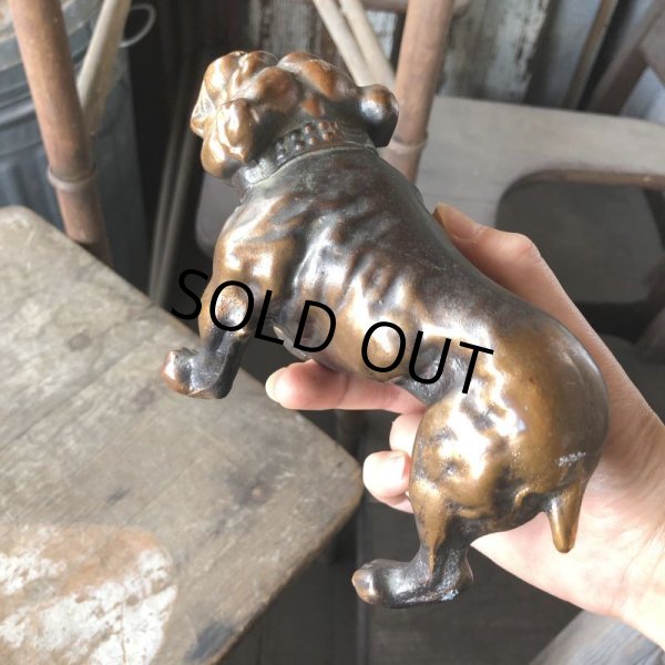 画像16: Vintage Brass Bulldog (B868)  (16)