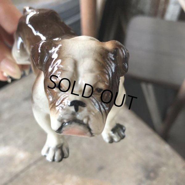 画像12: Vintage Ceramic Bulldog (B866)  (12)