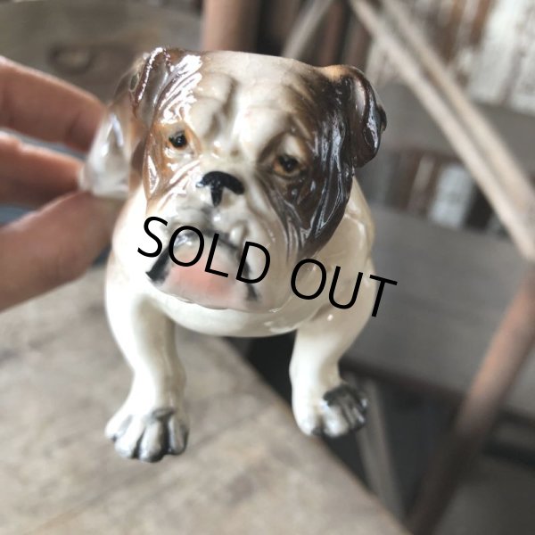 画像11: Vintage Ceramic Bulldog (B866)  (11)