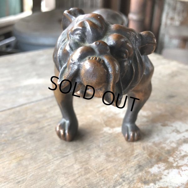 画像11: Vintage Brass Bulldog (B868)  (11)