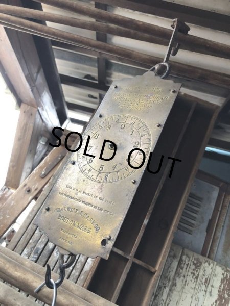 画像1: Vintage Chatillon's Improved Circular Spring Balance 30lb Scale (B871) (1)