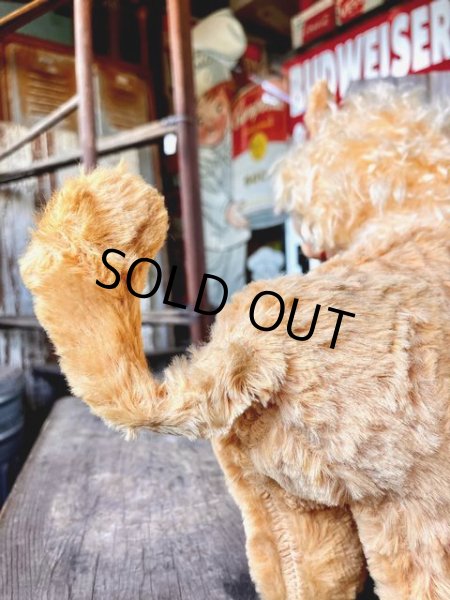 画像5: 50s Vintage IDEAL It's A Wonderful Toy LION Rubber Face Doll (M956)  (5)