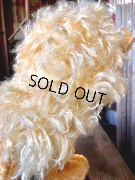 画像6: 50s Vintage IDEAL It's A Wonderful Toy LION Rubber Face Doll (M956)  (6)