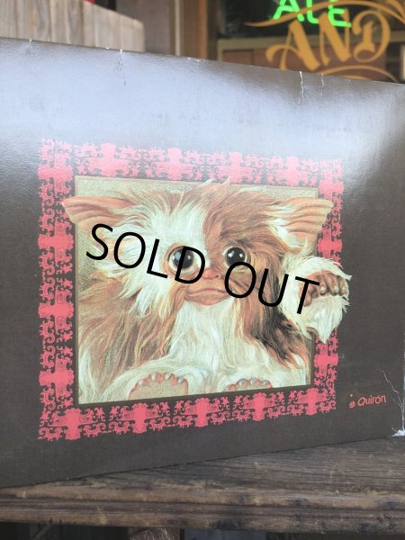 画像6: 90s Vitage Quiron GREMLiNS Gizmo Plush Doll W/Box (R012)  (6)