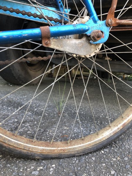 画像21:  【店舗引き取り限定】70s Vintage Schwinn HollyWood Ladies Beach Cruiser Bicycle 26” (R078) (21)