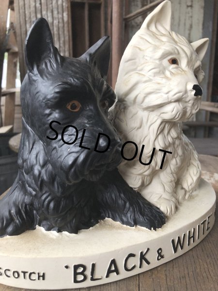画像10: Black & White Whisky Terrier Dogs Advertising Display Figurine (R137) (10)