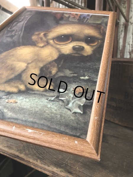 画像5: 60s GIG Vintage Big Eye Pity Puppy Art (R230) (5)
