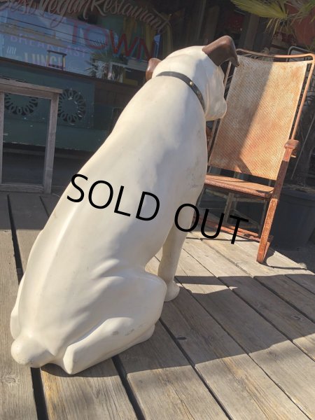 画像12: Vintage RCA Victor Advertising NIPPER The Dog Record Store Display Statue Huge (R278) (12)