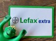 画像8: Vintage Germany LeFax Advertising PVC figure (R666) (8)