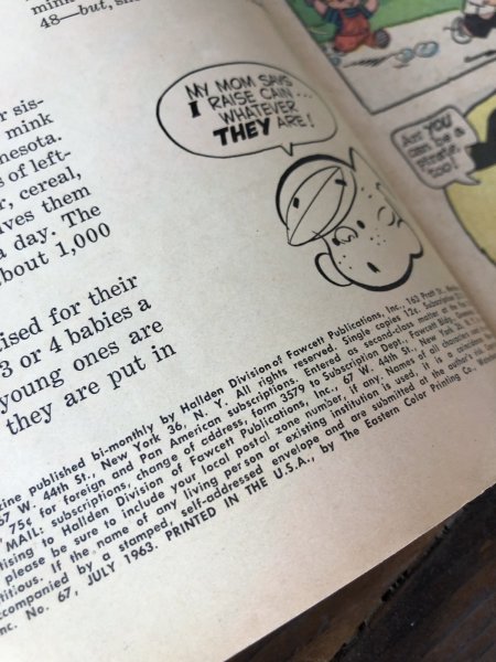 画像3: 60s Vintage Comic DENNIS THE MENACE No.67 (R749) (3)