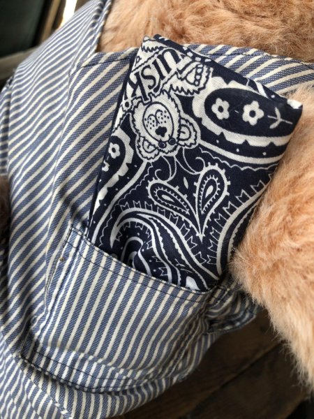 画像15: 80s Vintage Dudley Furskin Bear Plush Doll Coleco (R771)  (15)