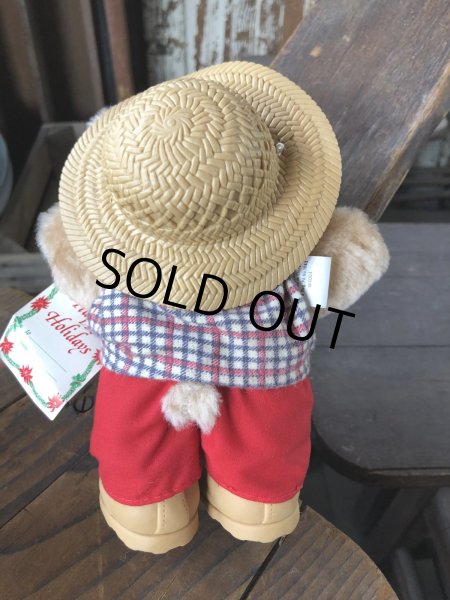画像3: 80s Vintage Boone Furskin Bear Mini Plush Doll Wendy's (R766)  (3)