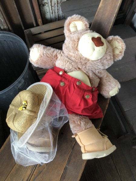 画像11: 80s Vintage Boone Furskin Bear Plush Doll Coleco (R770)  (11)