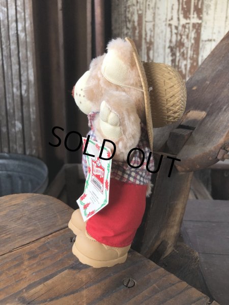 画像4: 80s Vintage Boone Furskin Bear Mini Plush Doll Wendy's (R766)  (4)