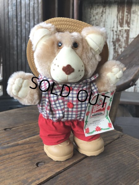 画像1: 80s Vintage Boone Furskin Bear Mini Plush Doll Wendy's (R766)  (1)
