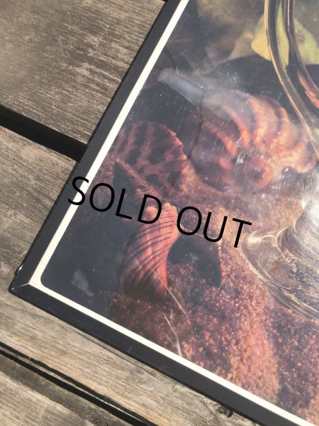 画像2: 70s Vintage Dole Hawaiian Pineapple juice Advertising Store Display Poster (R778) (2)