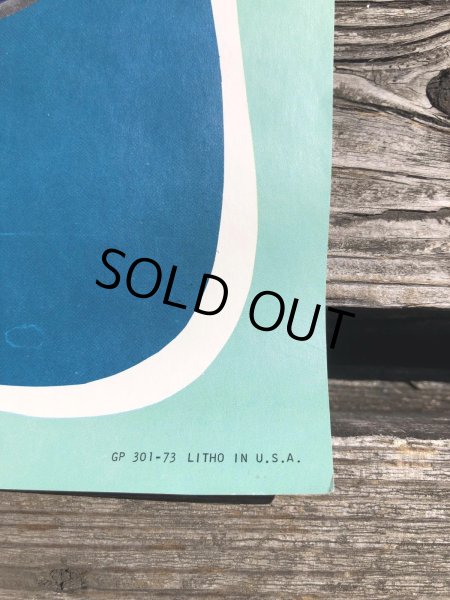 画像2: 70s Vintage Dole Hawaiian Pineapple Advertising Store Display Poster (R774) (2)