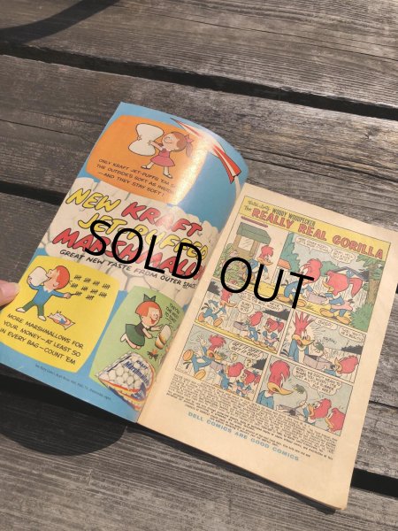 画像2: 60s Vintage DELL Comic Walter Lantze New Friends Woody Woodpecker (R803) (2)
