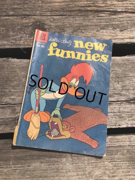 画像1: 60s Vintage DELL Comic Walter Lantze New Friends Woody Woodpecker (R803) (1)