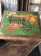 画像3: Vintage Wood Box Green Circle Mendocio Country Mountain Pears (R852) (3)