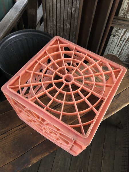 画像7: Vintage USA  DAIRY FOODS Heavy Duty Plastic Milk Crate Sealtest (W)  (7)