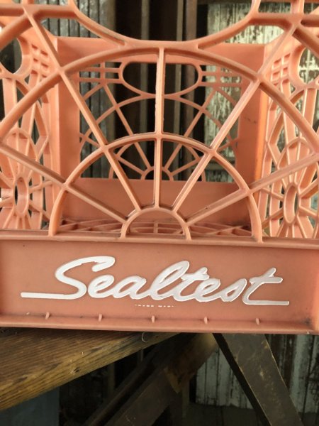画像4: Vintage USA  DAIRY FOODS Heavy Duty Plastic Milk Crate Sealtest (W)  (4)