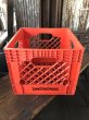 画像1: Vintage USA  DAIRY FOODS Heavy Duty Plastic Milk Crate SAME DAY DAYRIES (R)  (1)