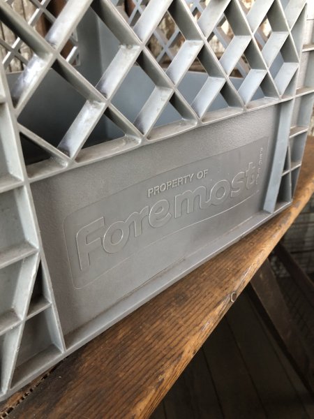 画像6: Vintage USA  DAIRY FOODS Heavy Duty Plastic Milk Crate Foremost (O)  (6)