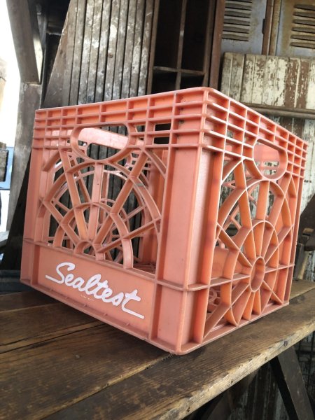 画像3: Vintage USA  DAIRY FOODS Heavy Duty Plastic Milk Crate Sealtest (W)  (3)