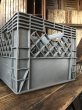 画像4: Vintage USA  DAIRY FOODS Heavy Duty Plastic Milk Crate Foremost (O)  (4)