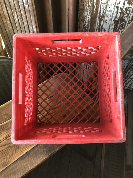 画像7: Vintage USA  DAIRY FOODS Heavy Duty Plastic Milk Crate SMITH'S (C)  (7)