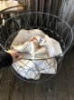 画像16: Vintage Metal Wire Folding Laundry Cart Basket on Wheels (A131)  (16)
