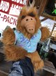 画像5: 80s Vintage Burger King  ALF Hand Puppet Aloha (A187)  (5)