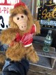 画像5: 80s Vintage Burger King  ALF Hand Puppet Baseball (A188)  (5)